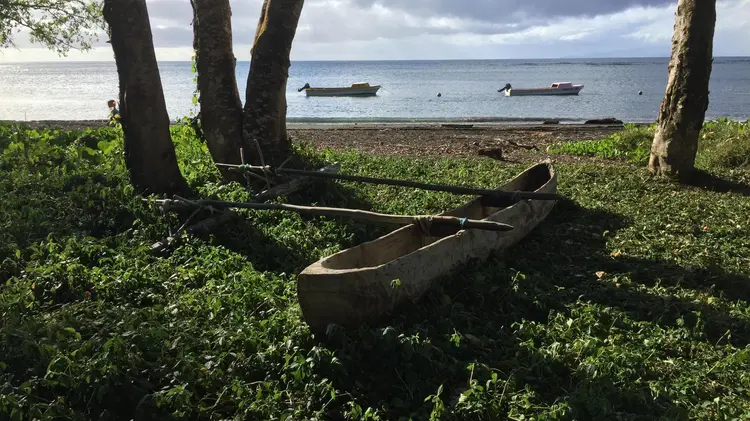 Bulbul rrō ngangaō temri.